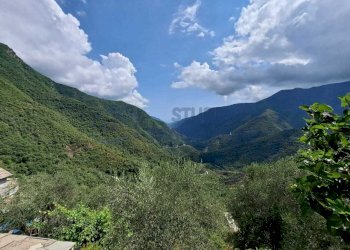 WhatsApp Image 2021-07-10 at 16.49.32 (1).jpeg - Terratetto - Terracielo Piazza Roma, Molini di Triora - foto 3