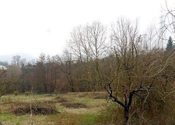 DSC02051.JPG - Terreno edificabile Via XX Settembre 135, Sabbio Chiese - foto 14