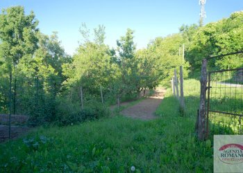 Rif-114.jpg - Villa Dego - foto 7