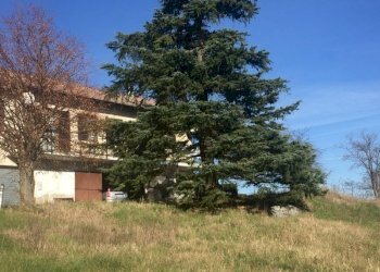 Rif 965 (19).JPG - Casa semi indipendente Mioglia - foto 9