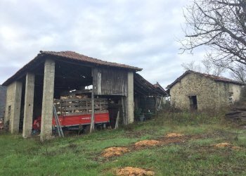 IMG_5490.JPG - Casa semi indipendente Mioglia - foto 12