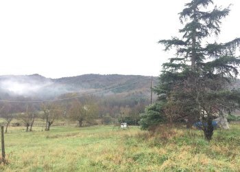 IMG_5499.JPG - Casa semi indipendente Mioglia - foto 14