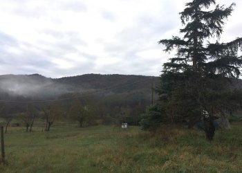 IMG_5500.JPG - Casa semi indipendente Mioglia - foto 15