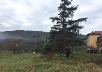 IMG_5501.JPG - Casa semi indipendente Mioglia - foto 16