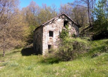 WP_001717.jpg - Rustico Giusvalla - foto 5