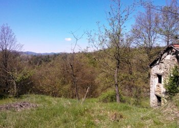 WP_001721.jpg - Rustico Giusvalla - foto 8