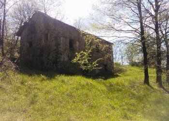 WP_001709.jpg - Rustico Giusvalla - foto 9