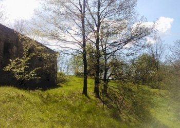 WP_001710.jpg - Rustico Giusvalla - foto 10