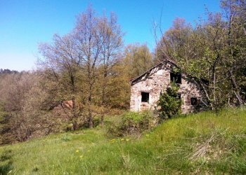 WP_001718.jpg - Rustico Giusvalla - foto 11