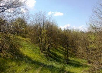 WP_001711.jpg - Rustico Giusvalla - foto 12