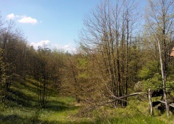 WP_001712.jpg - Rustico Giusvalla - foto 13