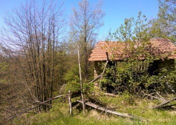 WP_001713.jpg - Rustico Giusvalla - foto 14