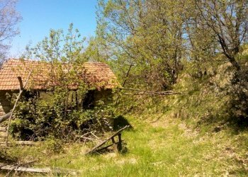 WP_001714.jpg - Rustico Giusvalla - foto 15