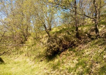 WP_001715.jpg - Rustico Giusvalla - foto 16