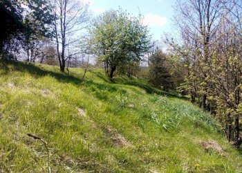 WP_001716.jpg - Rustico Giusvalla - foto 17