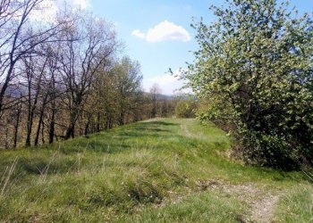 WP_001719.jpg - Rustico Giusvalla - foto 18