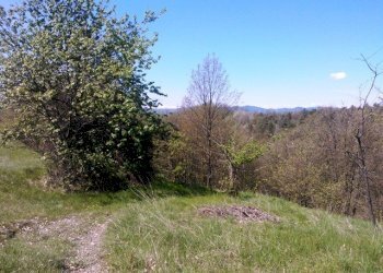 WP_001720.jpg - Rustico Giusvalla - foto 19