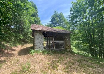 WhatsApp Image 2022-05-27 at 14.45.46 (4).jpeg - Rustico Giusvalla - foto 20