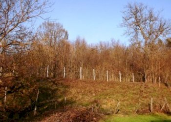 Rif 110 2.jpg - Casale Giusvalla - foto 17