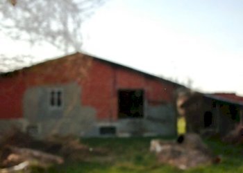 Rif 110 3.jpg - Casale Giusvalla - foto 18