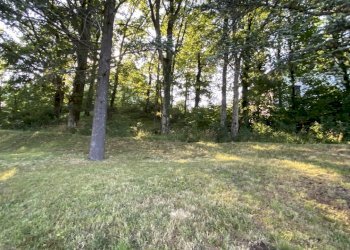 IMG_6830.JPEG - Casa indipendente via divisione alpine, Tiglieto - foto 27