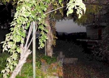 rif 126 15.jpg - Appartamento Urbe - foto 11