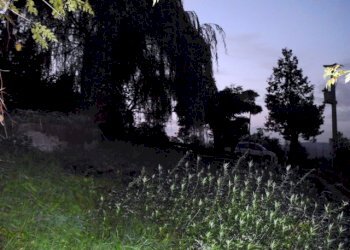 rif 126 16.jpg - Appartamento Urbe - foto 12