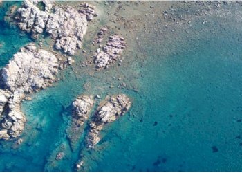 1.png - Terreno edificabile Unnamed Road, Trinità d'Agultu e Vignola - foto 8