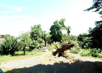 SAM_2147.JPG - Casale Via Roma 1, Levone - foto 17