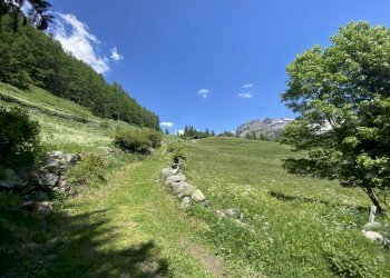 IMG_9827.jpg - Baita Localita' Rovinal San Jacques 1, Ayas - foto 8