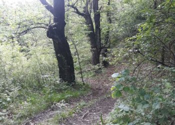 IMG-20210604-WA0015.jpg - Casale Borgata Coldimosso 42, Susa - photo 21