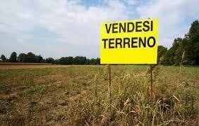 1538.jpg - Terreno agricolo Massarosa - foto 1