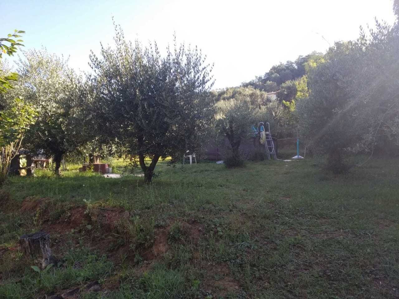 e99787e6-eec1-4273-8efa-7e3cff38065d.JPG - Villa Massarosa - foto 2