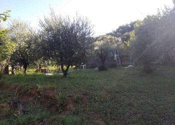 e99787e6-eec1-4273-8efa-7e3cff38065d.JPG - Villa Massarosa - foto 2