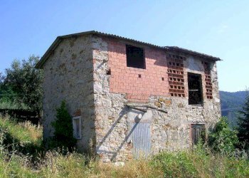 2.jpg - Casa semi indipendente Massarosa - foto 1