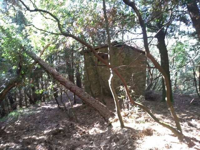 9aedae20-ca1d-4dd6-8abe-97262503d5be.JPG - Rustic Massarosa - photo 1