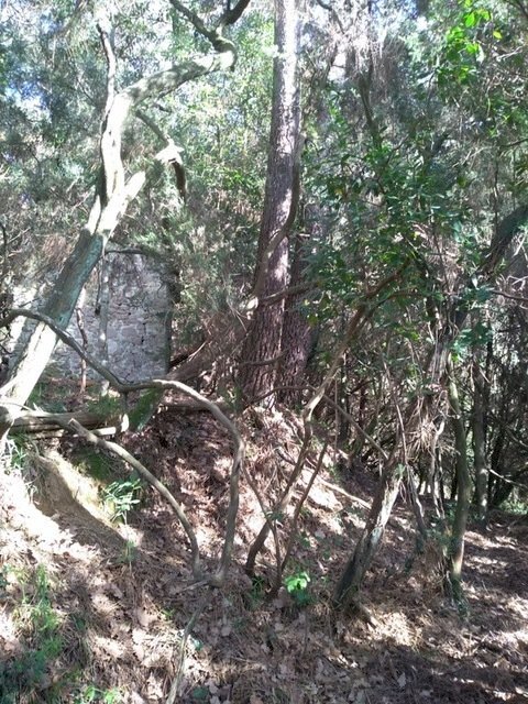 3fe6b3b2-2c05-48e7-8c4a-00608d3dc806.JPG - Rustic Massarosa - photo 2