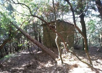 9aedae20-ca1d-4dd6-8abe-97262503d5be.JPG - Rustico Massarosa - foto 1