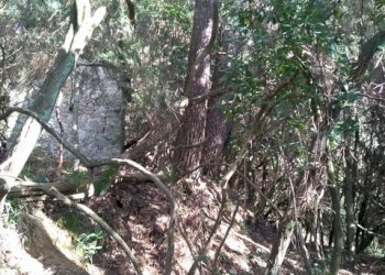 3fe6b3b2-2c05-48e7-8c4a-00608d3dc806.JPG - Rustico Massarosa - foto 2