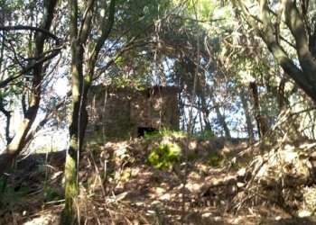 89c89408-53f7-4484-a43f-c08184c0ed3c.JPG - Rustico Massarosa - foto 5