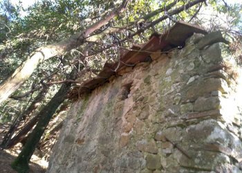 344eb1de-8da6-43a4-baae-a75674496962.JPG - Rustico Massarosa - foto 6