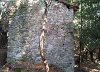 629e2646-9091-40ee-9e98-747806b7a967.JPG - Rustico Massarosa - foto 7