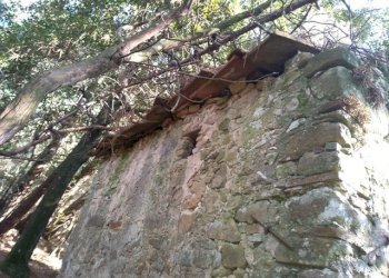 ad98b0e0-6d80-47bd-b917-200d0d62a766.JPG - Rustico Massarosa - foto 10