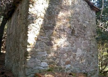 cb6229ca-565f-4d0c-aaaf-fa82d56b762f.JPG - Rustico Massarosa - foto 11