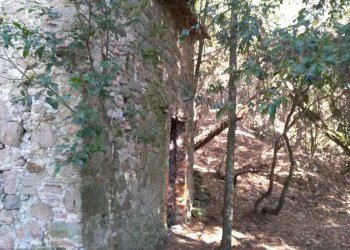 f22376e8-e5c1-4d08-b8d7-8565a858a010.JPG - Rustico Massarosa - foto 13