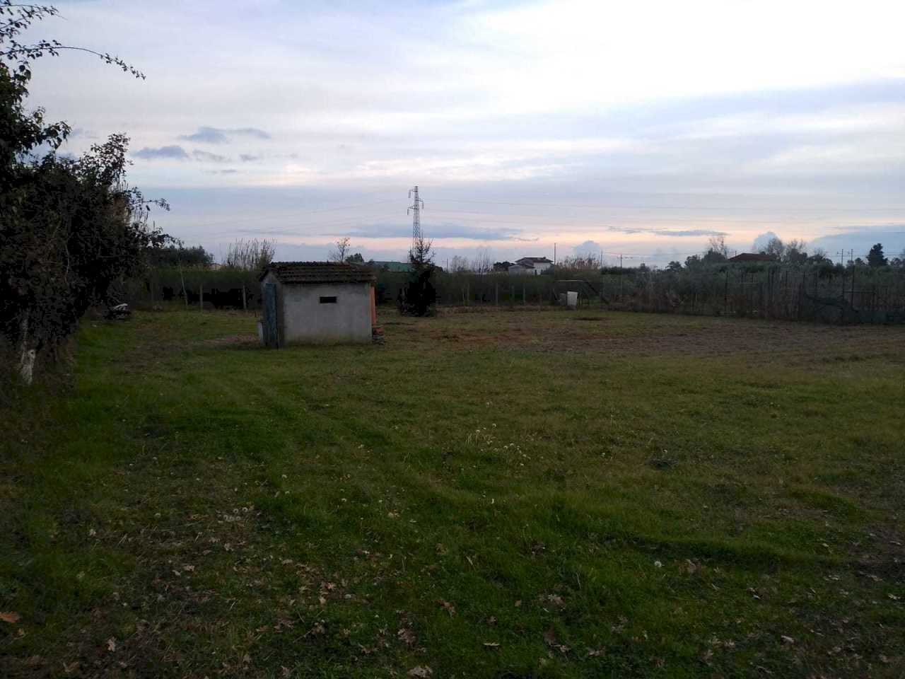 aa2b900a-2fb4-4c3b-b9b5-ffad27e7a48f.JPG - Terreno agricolo Massarosa - foto 1