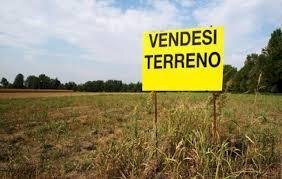 1538.jpg - Terreno agricolo Massarosa - foto 1