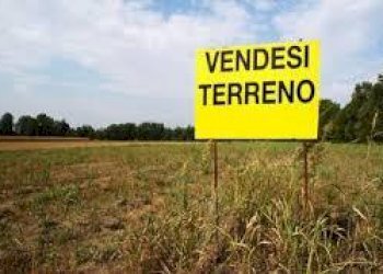 1538.jpg - Terreno agricolo Massarosa - foto 1