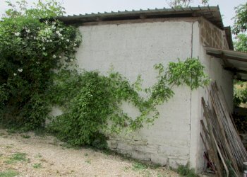 IMG_1661.JPG - Casa indipendente Todi - foto 5