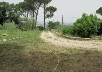 IMG_1718.JPG - Casa indipendente Todi - foto 9